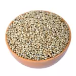 Kambu(கம்பு)